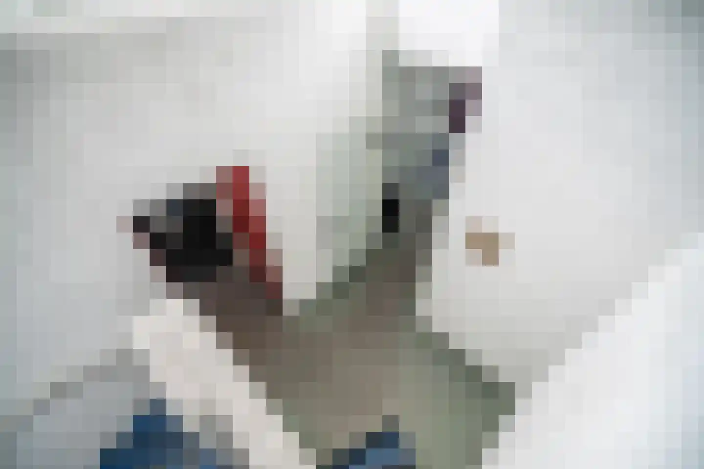 Brouwerlaan 1 Voorschoten thumbnail 44