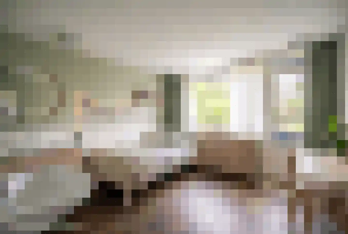 Brouwerlaan 1 Voorschoten thumbnail 47