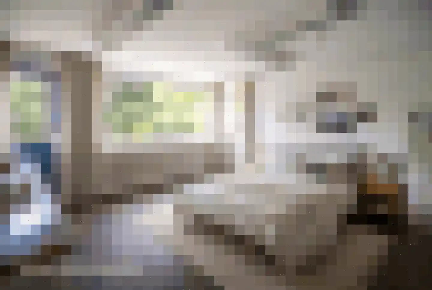 Brouwerlaan 1 Voorschoten thumbnail 49