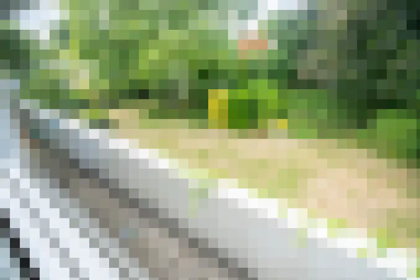 Brouwerlaan 1 Voorschoten thumbnail 50