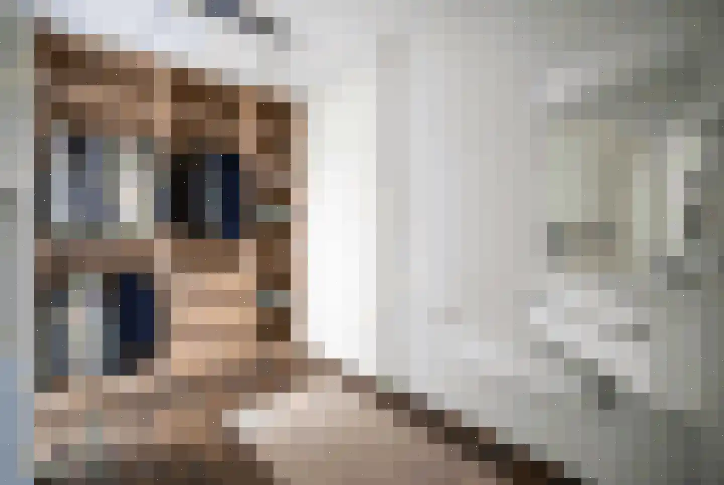 Brouwerlaan 1 Voorschoten thumbnail 52