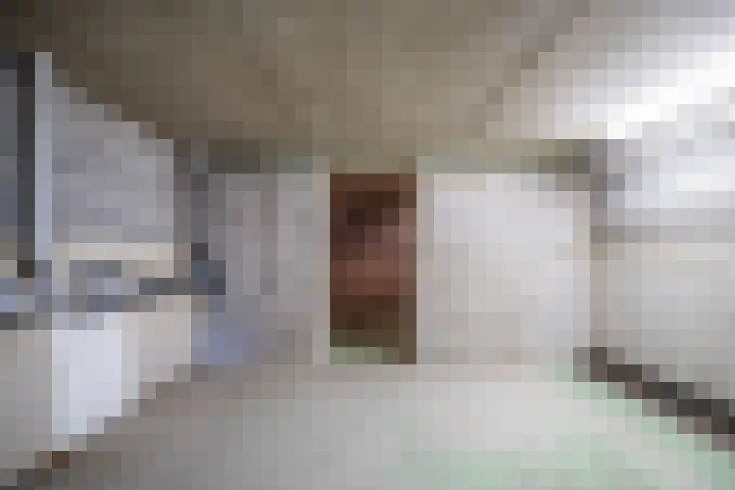 Brouwerlaan 1 Voorschoten thumbnail 59