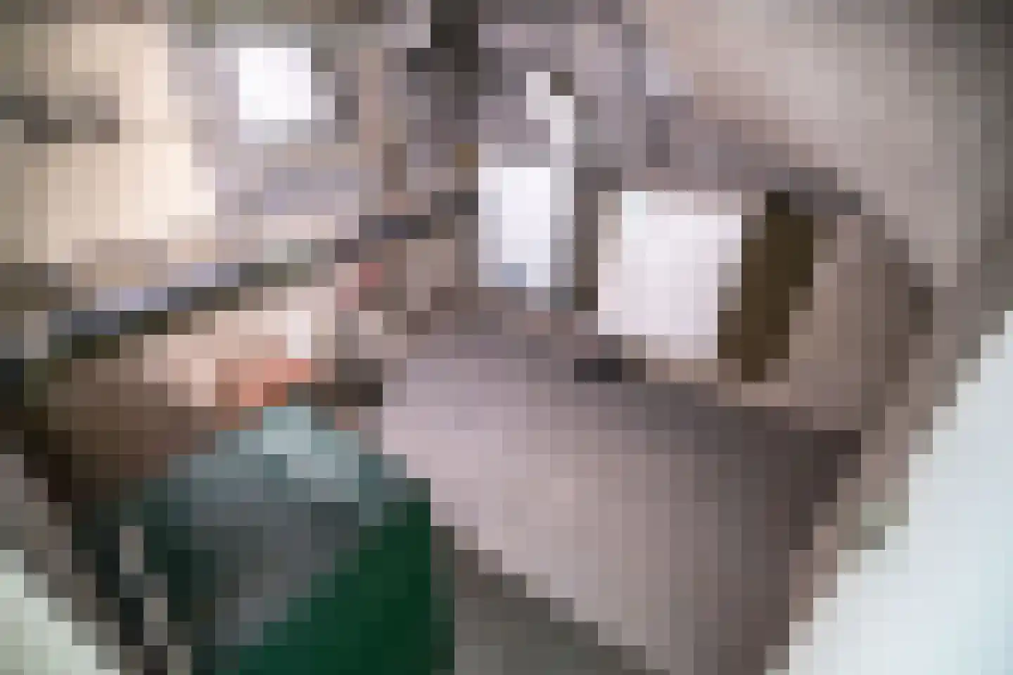 Brouwerlaan 1 Voorschoten thumbnail 62