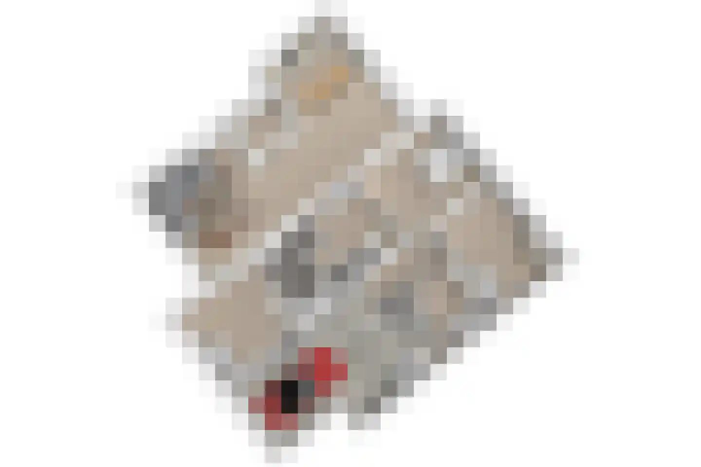 Brouwerlaan 1 Voorschoten thumbnail 65
