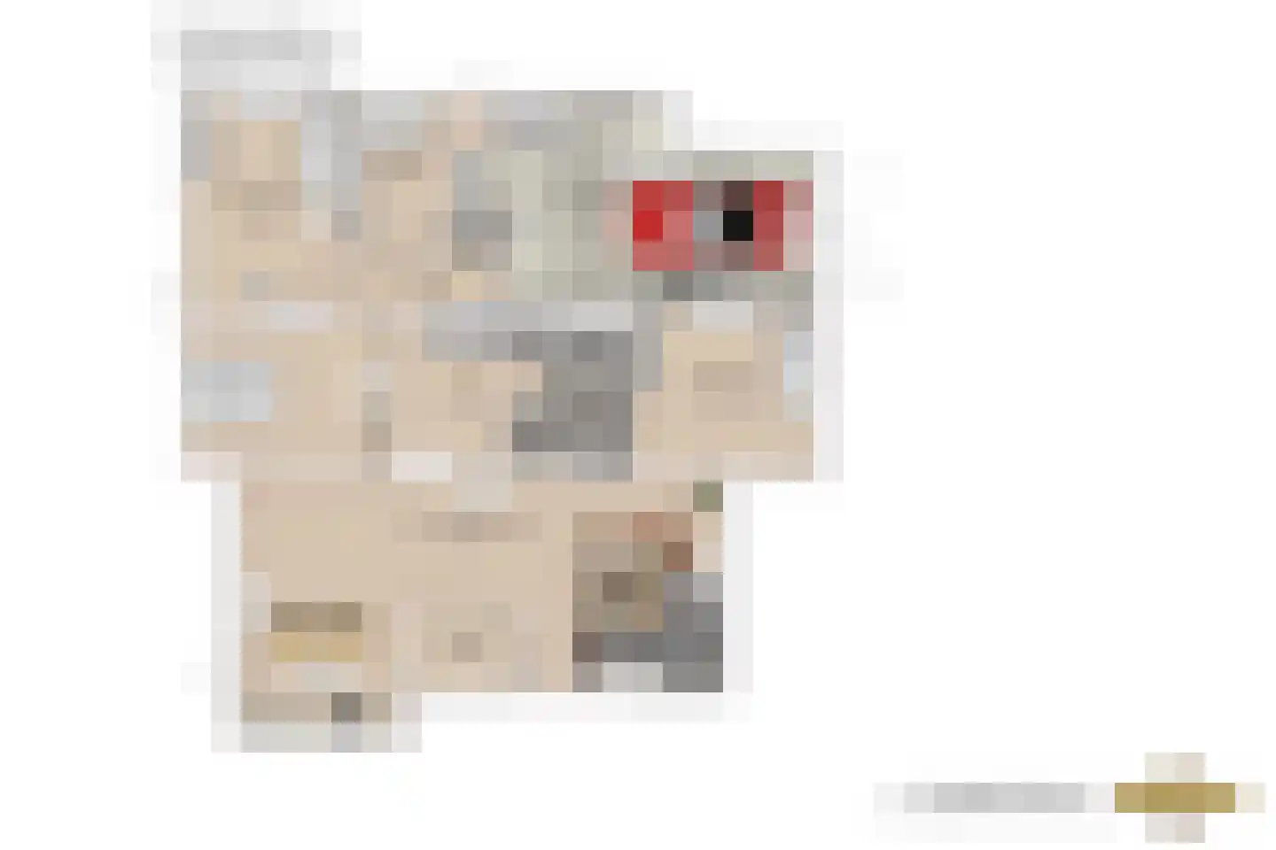 Brouwerlaan 1 Voorschoten thumbnail 66