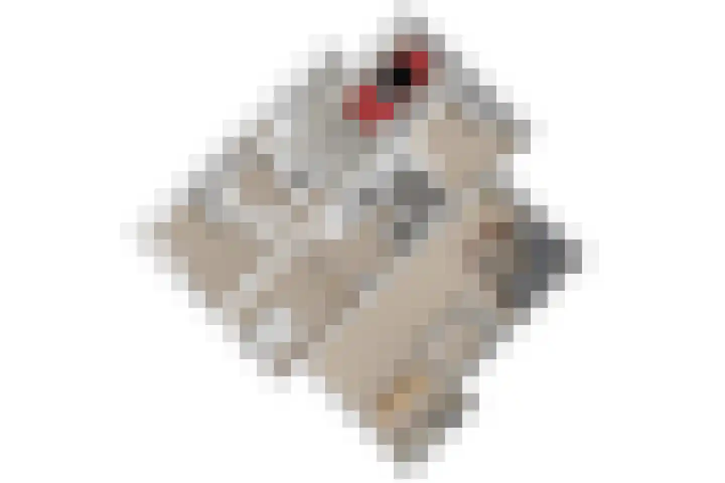 Brouwerlaan 1 Voorschoten thumbnail 67