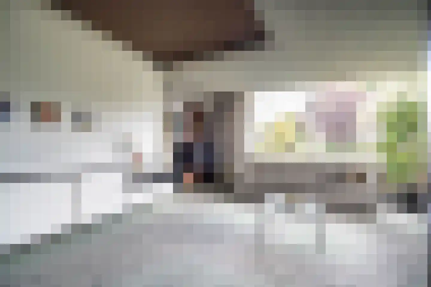 Brouwerlaan 1 Voorschoten thumbnail 7