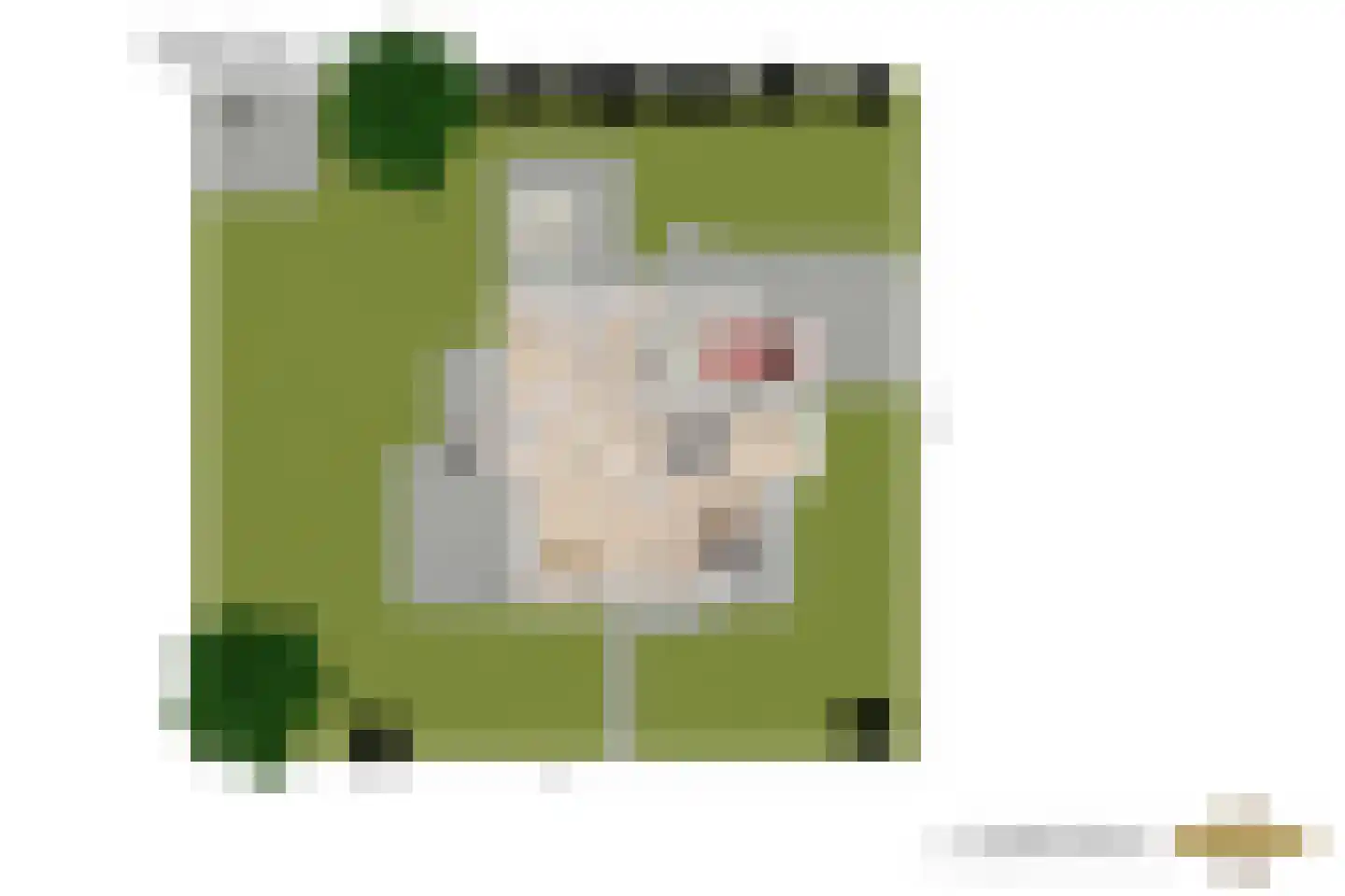 Brouwerlaan 1 Voorschoten thumbnail 74