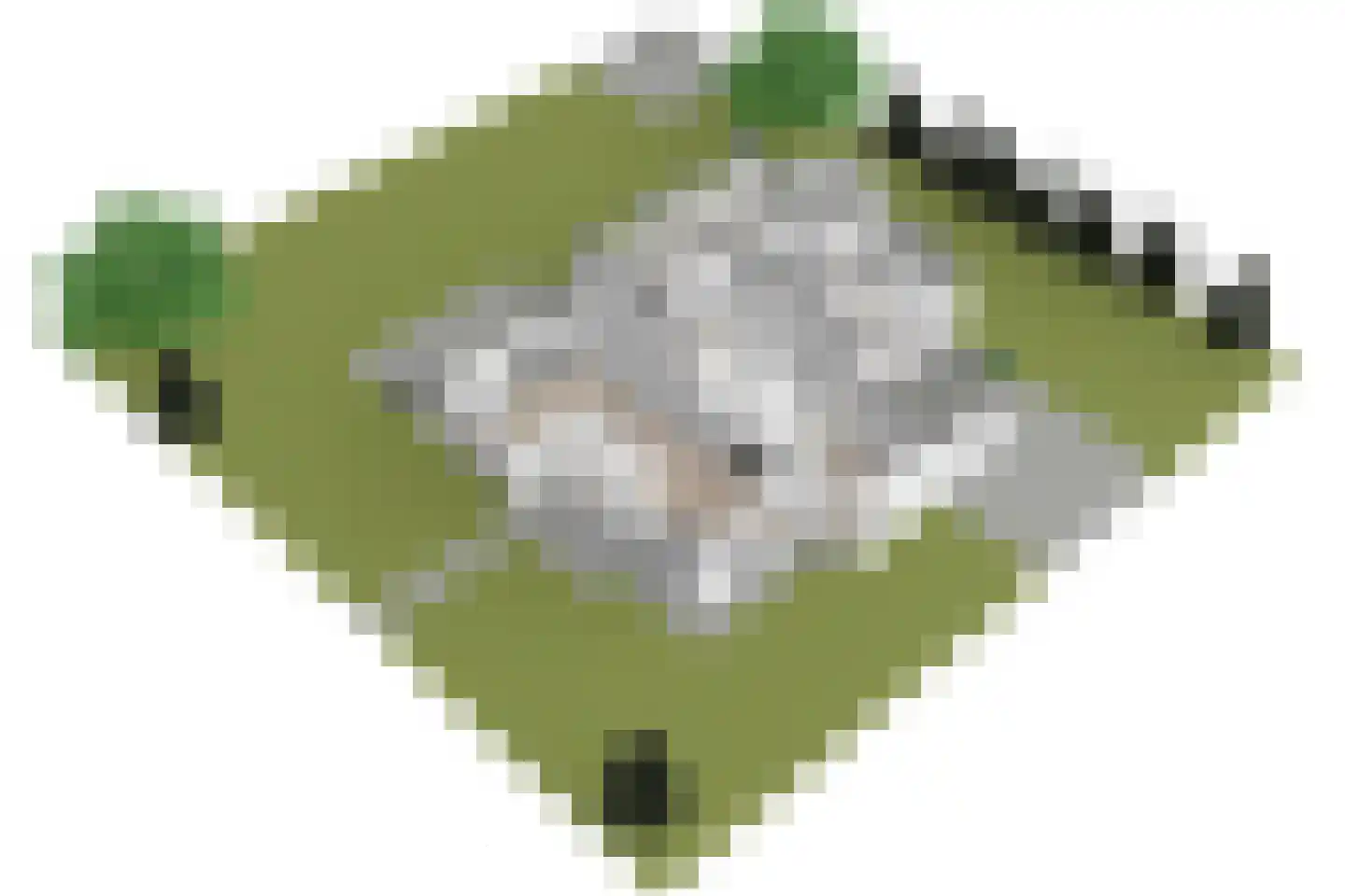 Brouwerlaan 1 Voorschoten thumbnail 77