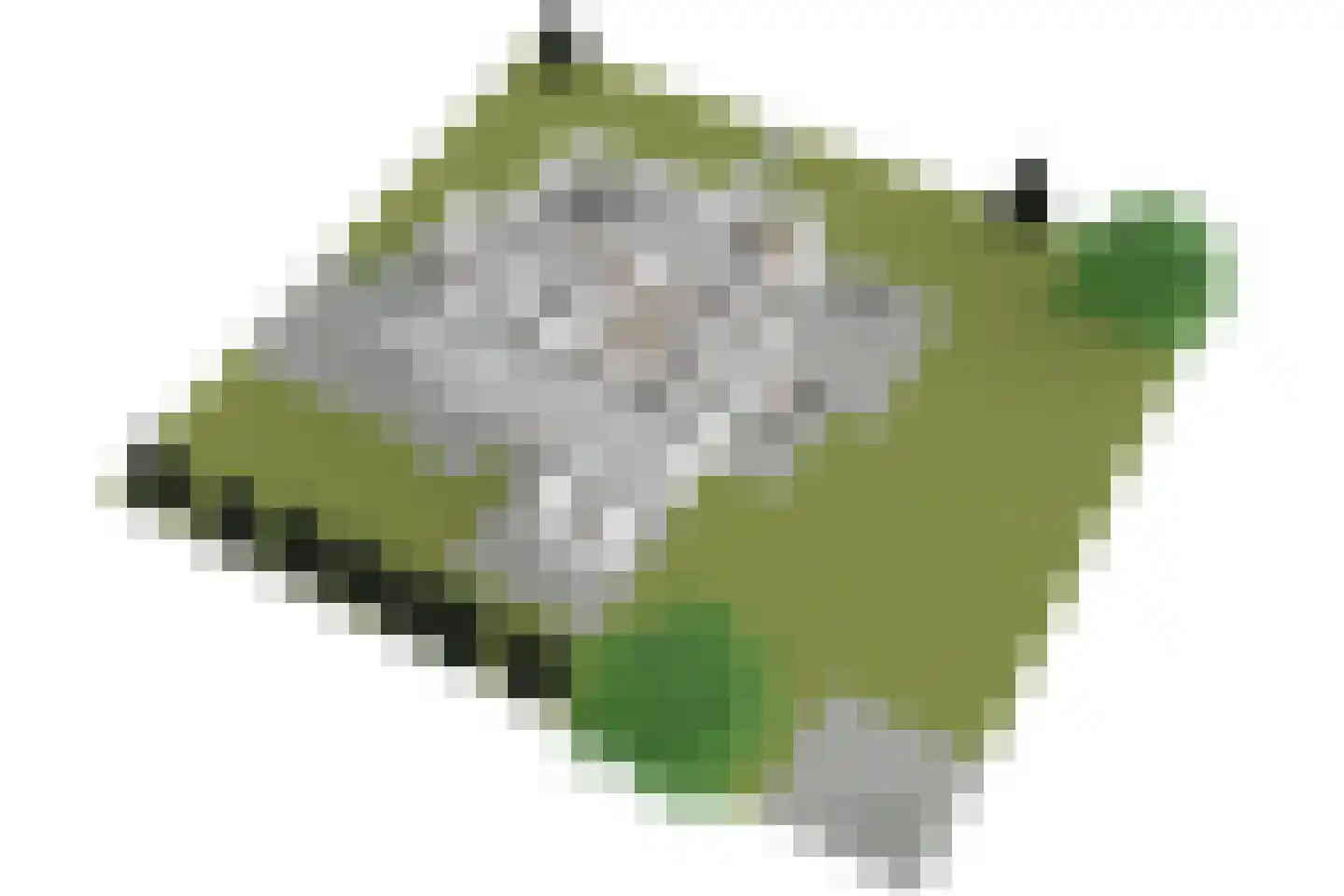 Brouwerlaan 1 Voorschoten thumbnail 78