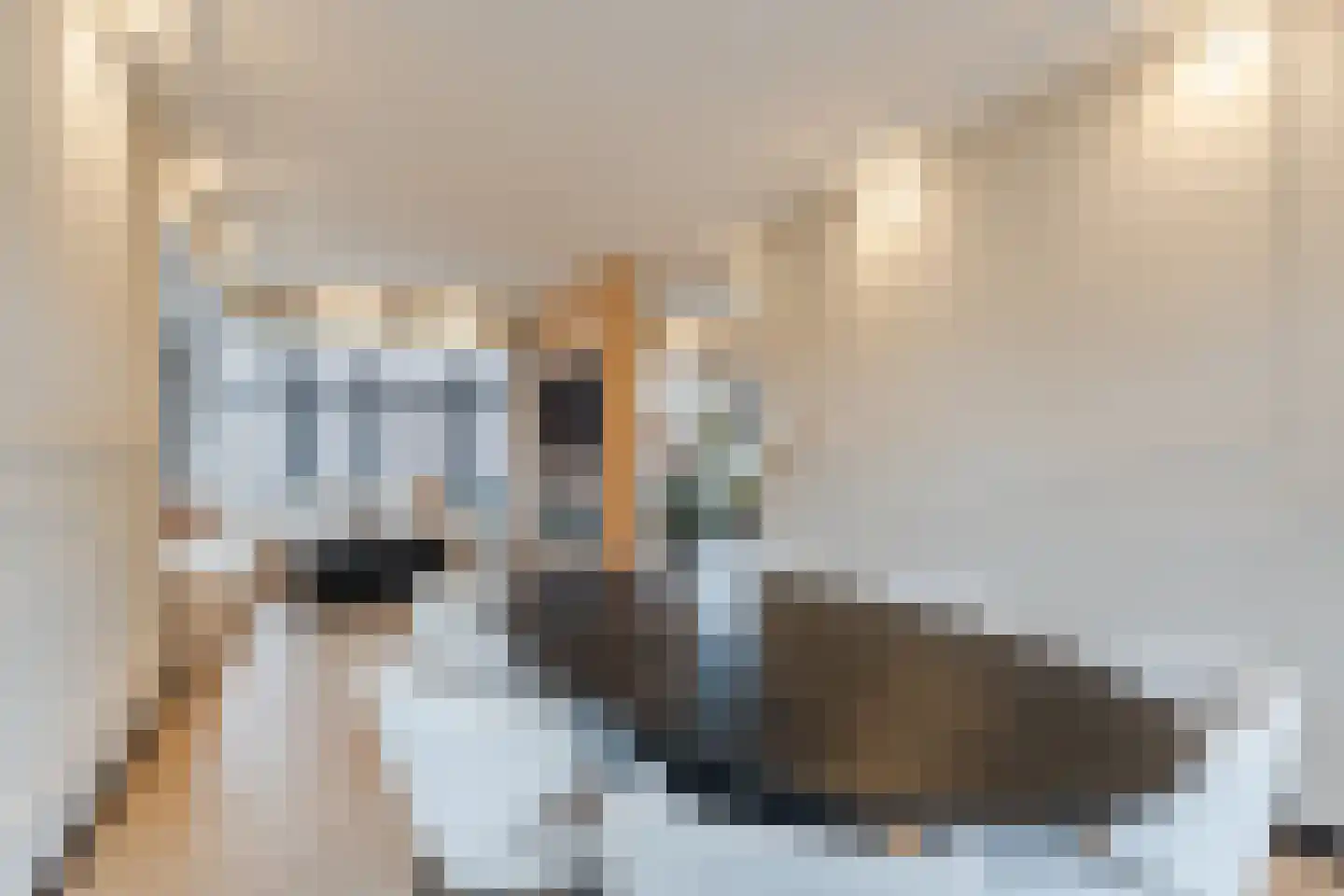 Brouwerlaan 26 Hillegom thumbnail 11