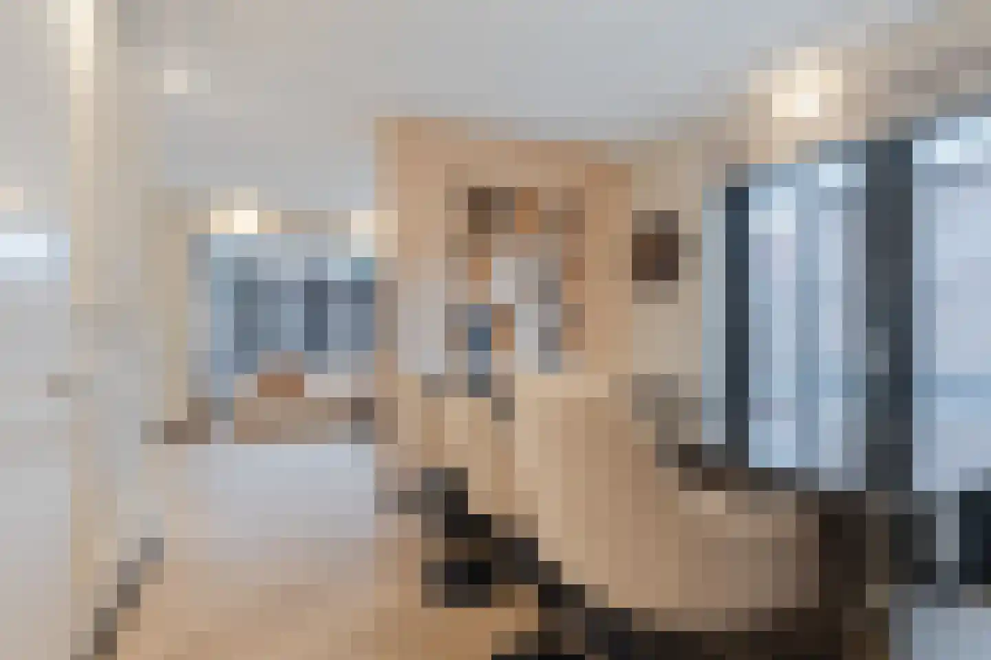 Brouwerlaan 26 Hillegom thumbnail 14