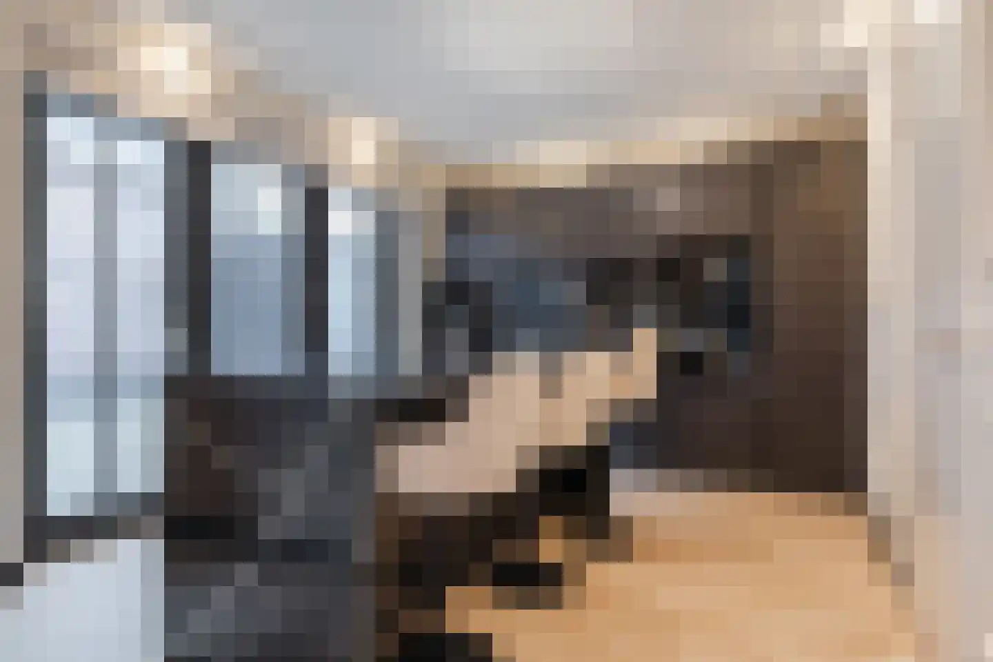 Brouwerlaan 26 Hillegom thumbnail 4