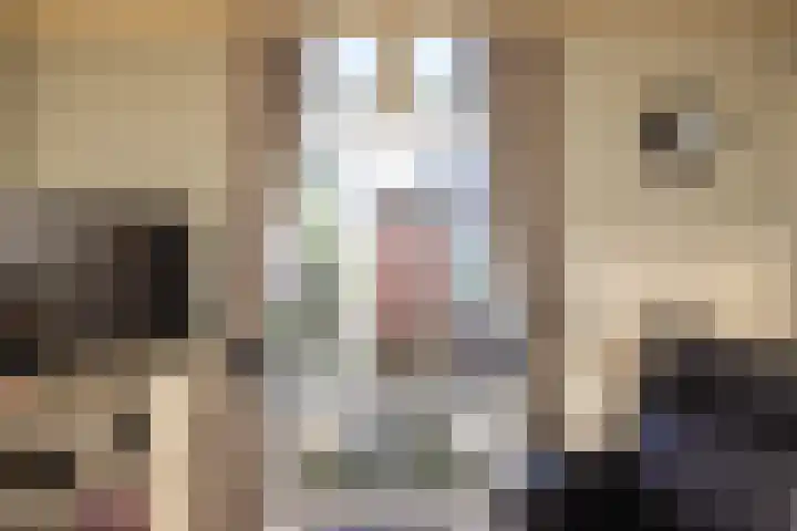 Brouwerlaan 35 Hillegom thumbnail 13