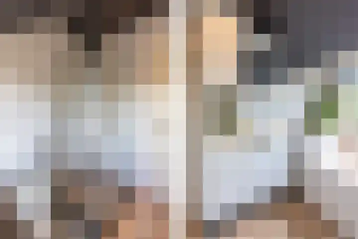 Brouwerlaan 35 Hillegom thumbnail 20