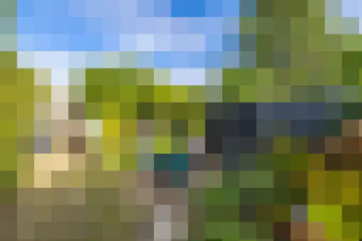 Brouwerlaan 35 Hillegom thumbnail 28