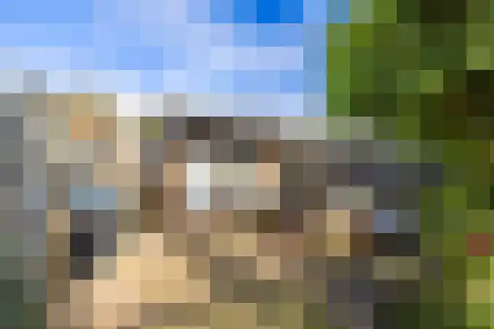 Brouwerlaan 35 Hillegom thumbnail 29