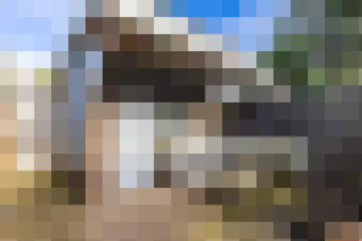 Brouwerlaan 35 Hillegom thumbnail 30