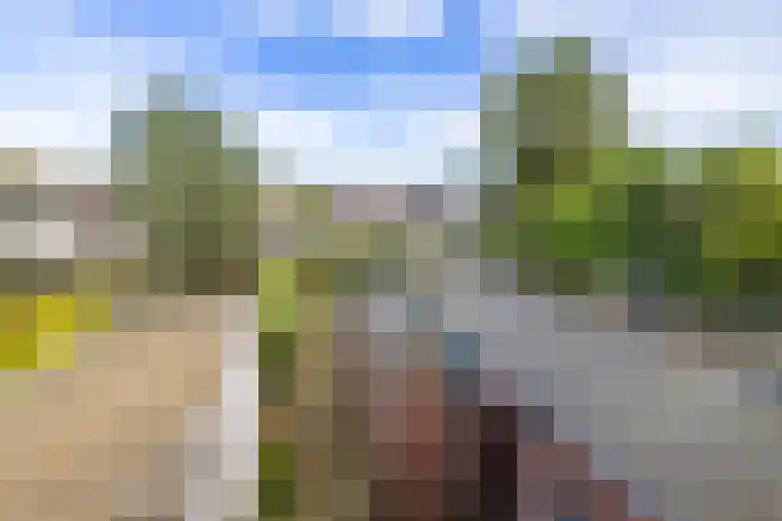 Brouwerlaan 35 Hillegom thumbnail 32