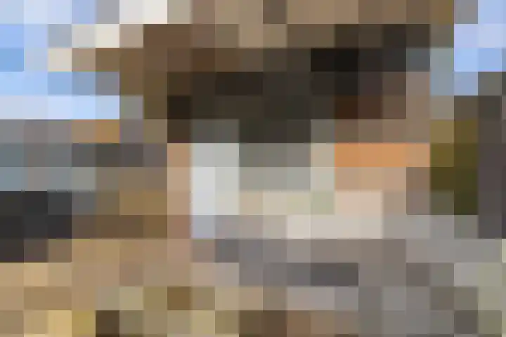 Brouwerlaan 35 Hillegom thumbnail 4