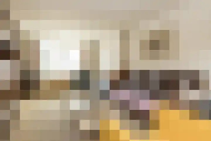 Brouwerlaan 41 Hillegom thumbnail 13