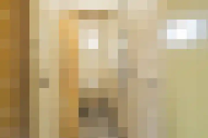 Brouwerlaan 41 Hillegom thumbnail 20