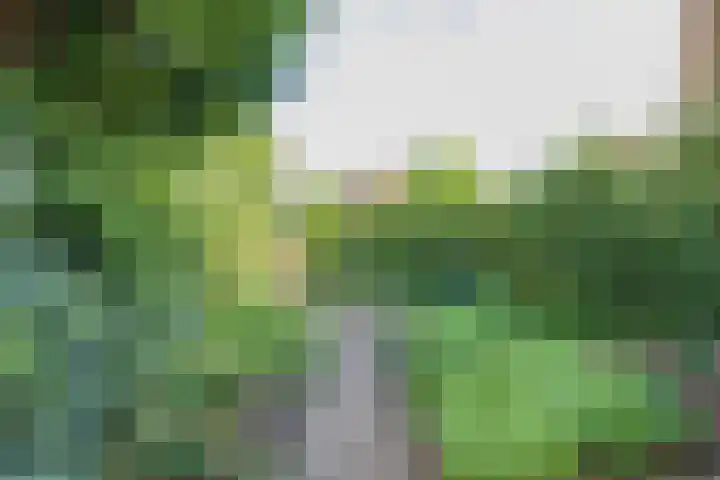 Brouwerlaan 41 Hillegom thumbnail 22