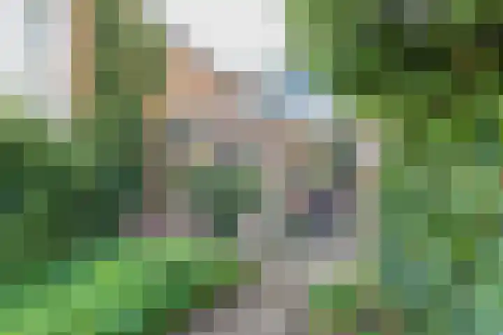 Brouwerlaan 41 Hillegom thumbnail 23