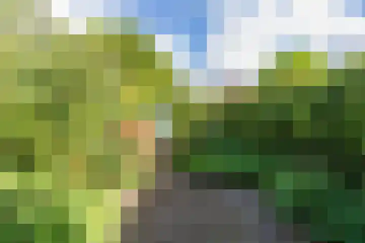 Brouwerlaan 41 Hillegom thumbnail 24