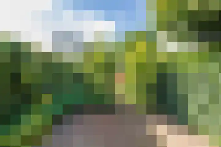 Brouwerlaan 41 Hillegom thumbnail 27