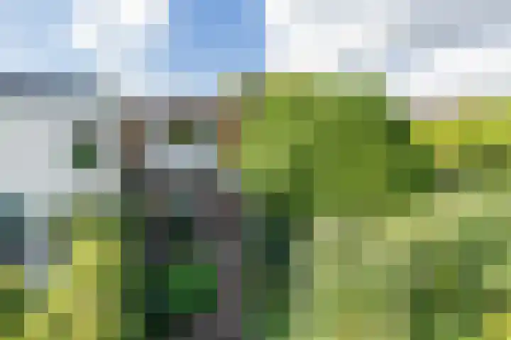 Brouwerlaan 41 Hillegom thumbnail 28