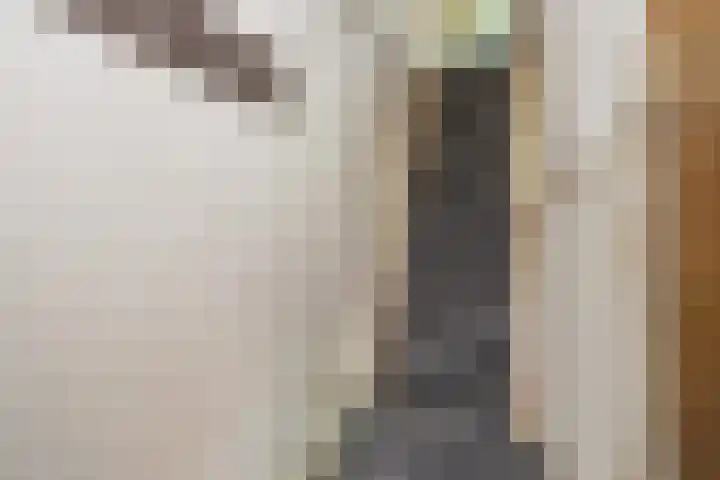 Brouwerlaan 41 Hillegom thumbnail 31