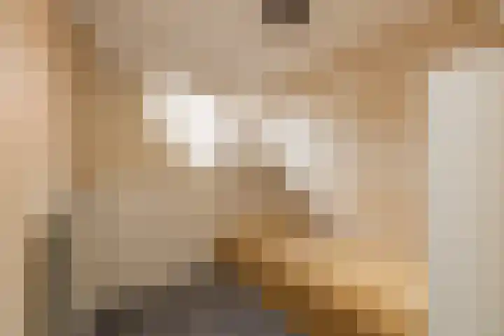 Brouwerlaan 41 Hillegom thumbnail 36