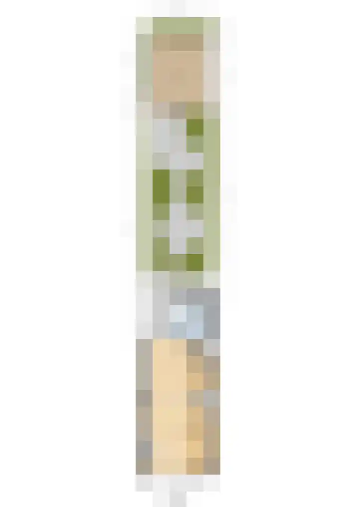 Brouwerlaan 41 Hillegom thumbnail 43