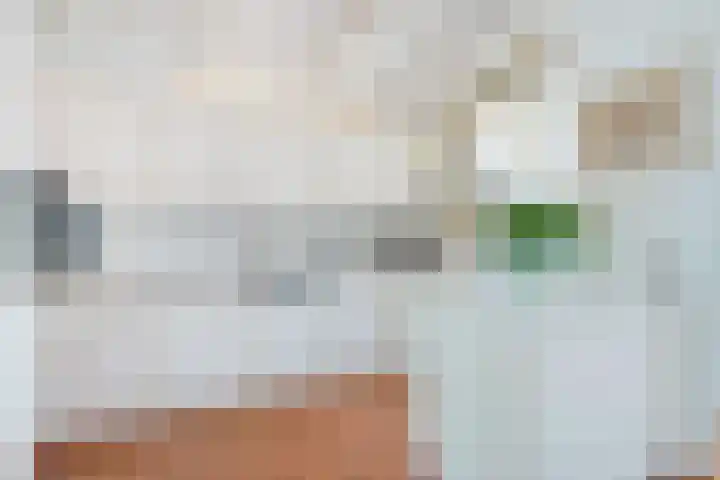 Brouwerlaan 49 Hillegom thumbnail 11