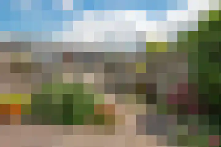 Brouwerlaan 49 Hillegom thumbnail 15