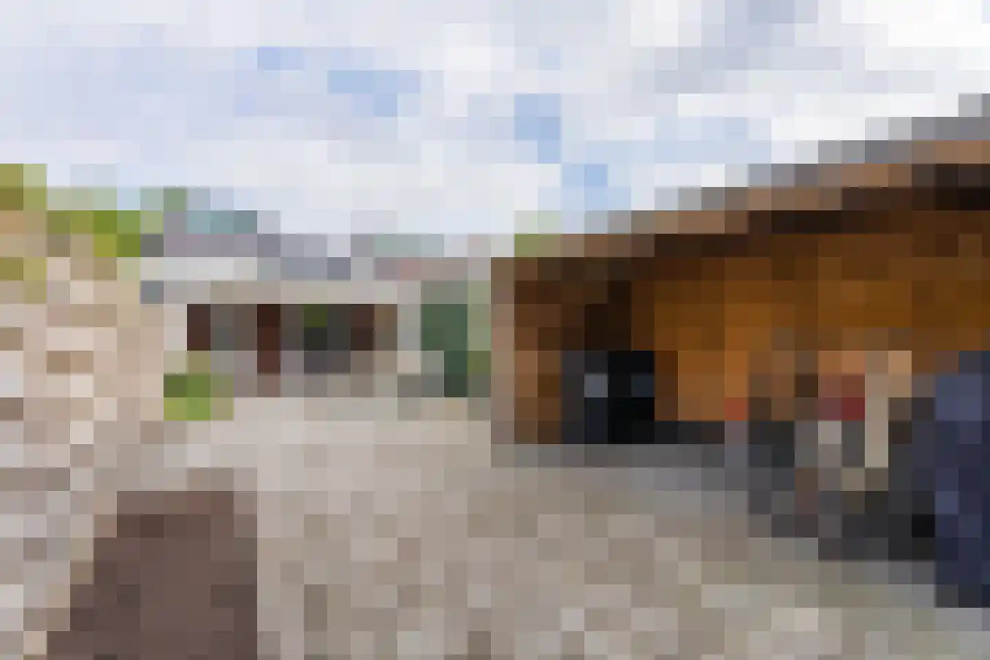 Brouwerlaan 9 Hillegom thumbnail 26