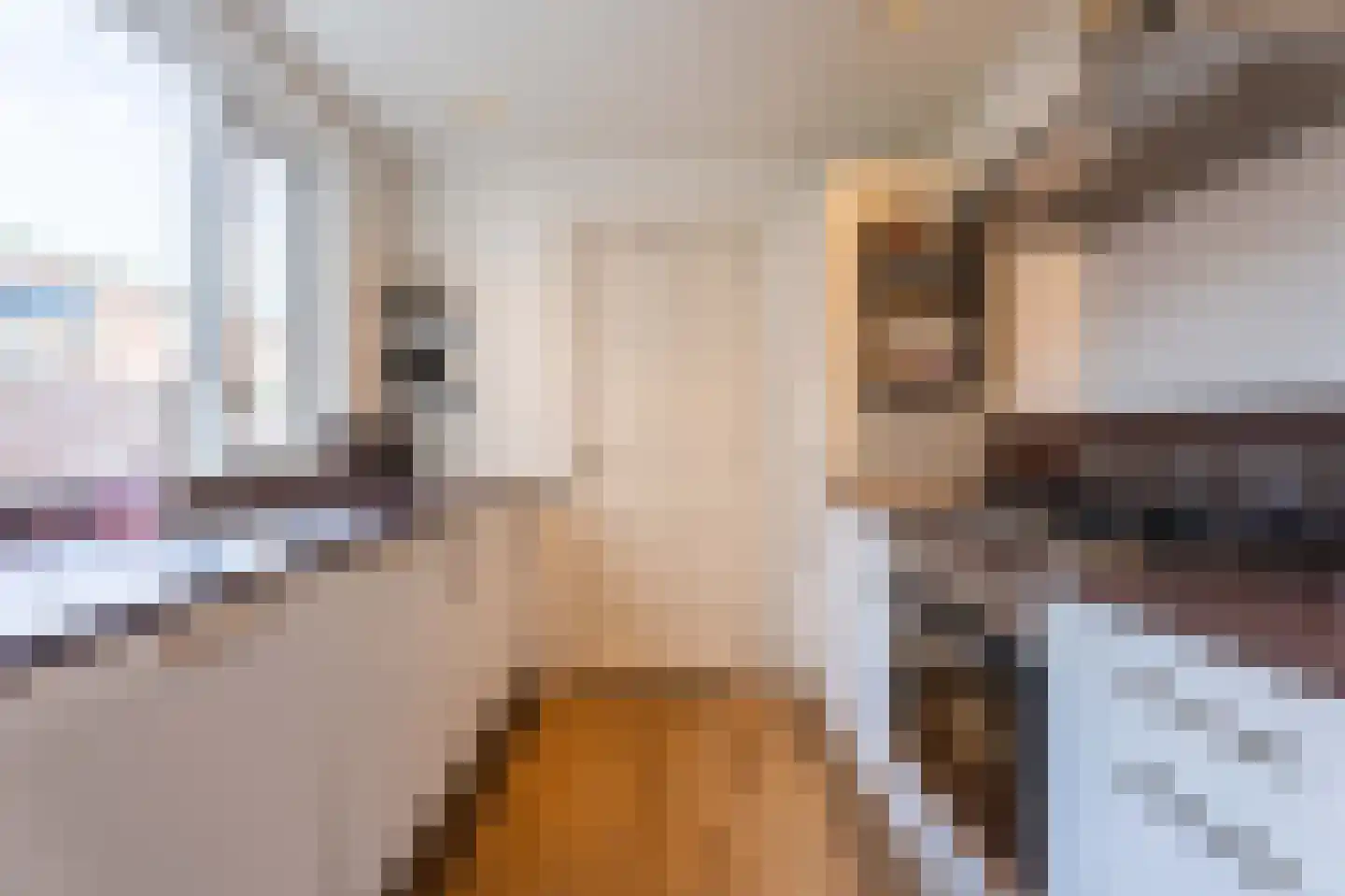 Brouwerlaan 9 Hillegom thumbnail 7