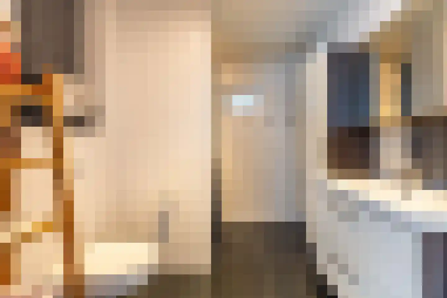 Brouwerlaan 9 Hillegom thumbnail 9