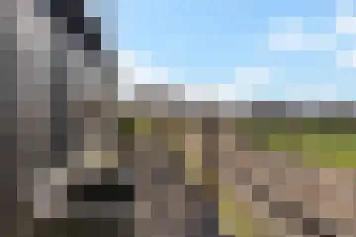 Logo Brouwers Makelaars