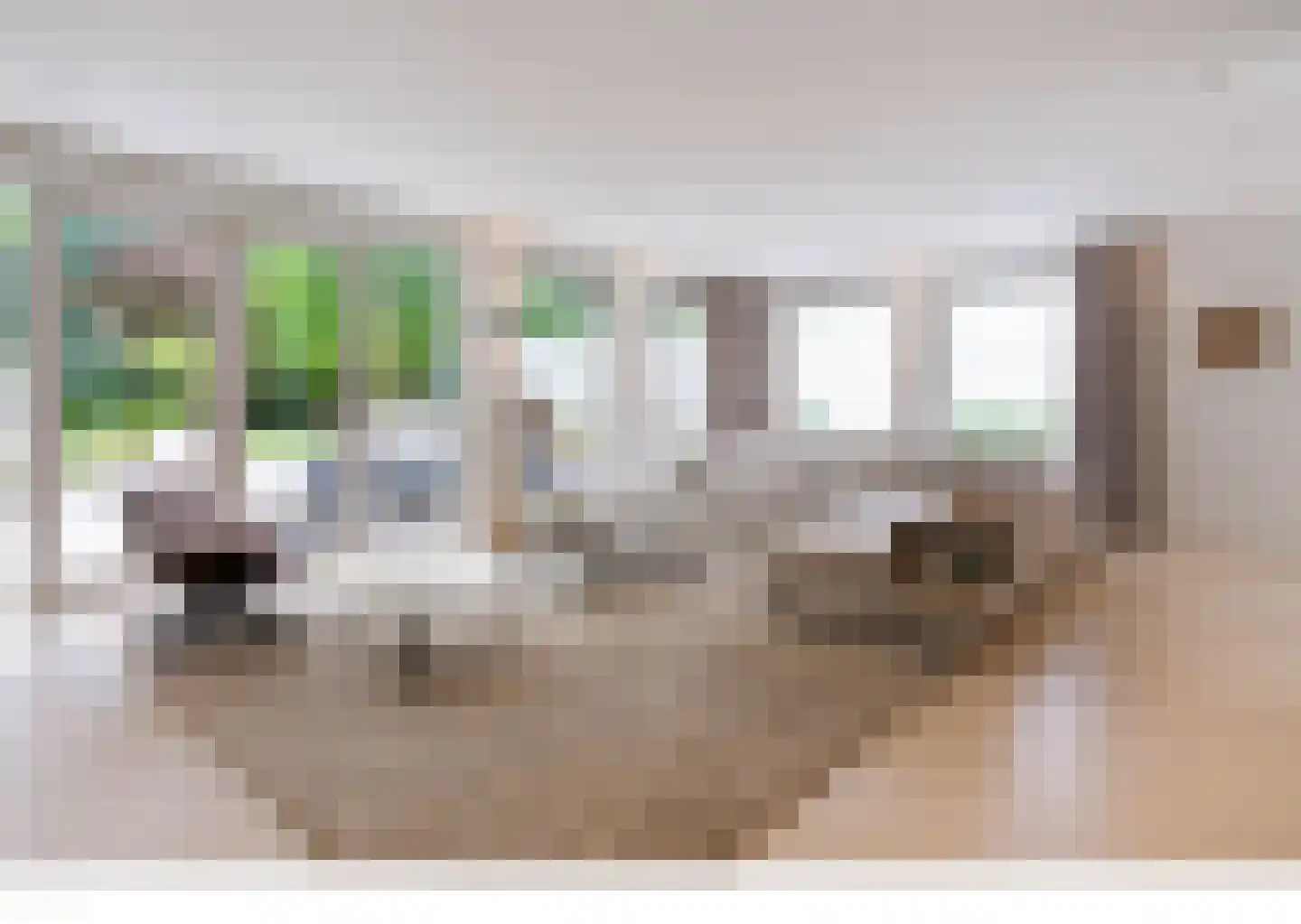 Brouwersbos 25 Prinsenbeek thumbnail 17