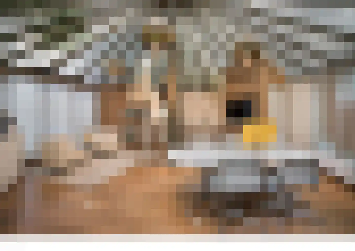 Brouwersbos 25 Prinsenbeek thumbnail 47