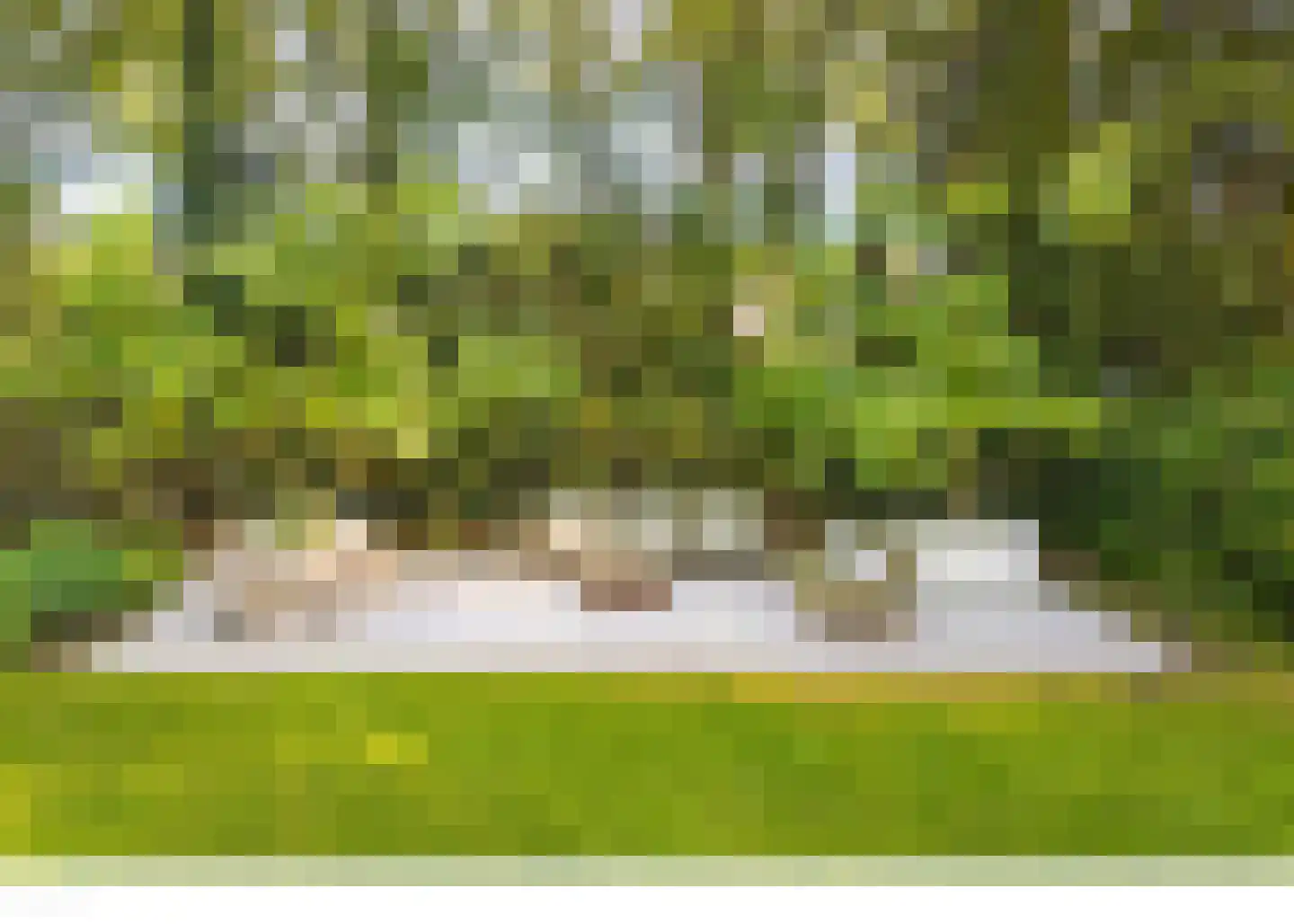 Brouwersbos 25 Prinsenbeek thumbnail 50