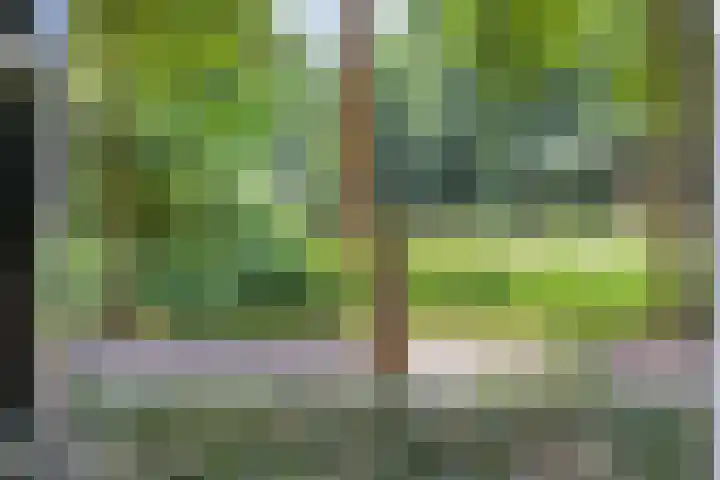 Brouwersbos 44 Cuijk thumbnail 10