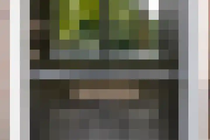 Brouwersbos 44 Cuijk thumbnail 11