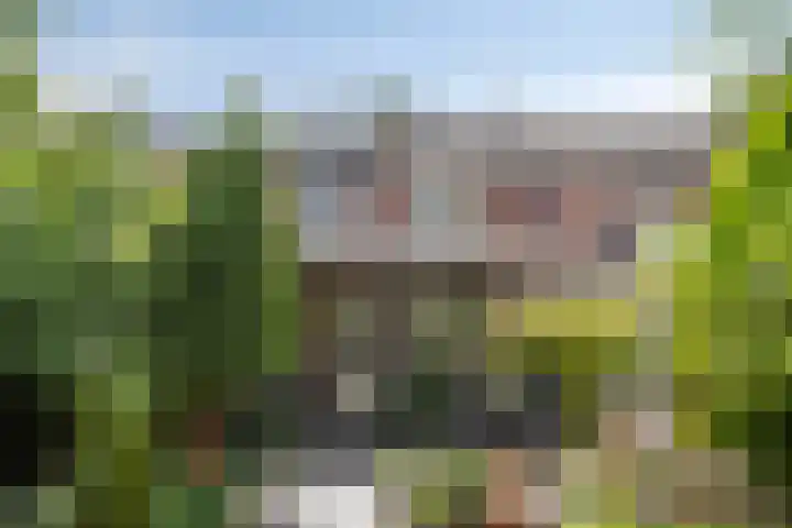 Brouwersbos 44 Cuijk thumbnail 33
