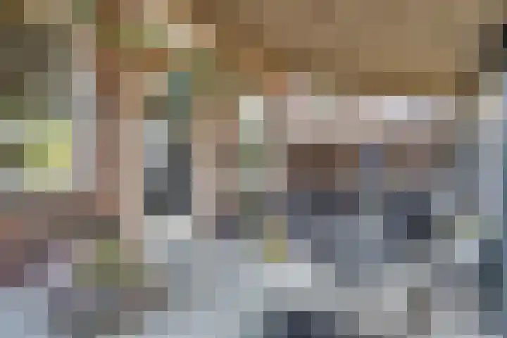 Brouwersbos 44 Cuijk thumbnail 35