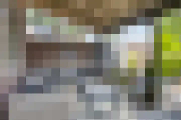 Brouwersbos 44 Cuijk thumbnail 36