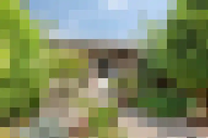 Brouwersbos 44 Cuijk thumbnail 38