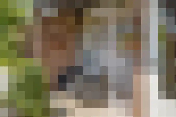 Brouwersbos 44 Cuijk thumbnail 39